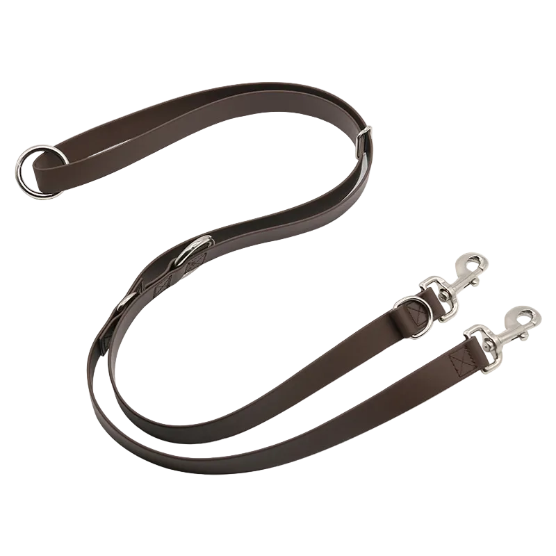 Brown strap dog leash with metal clips