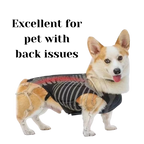 Dog wearing a back brace with text 'Excellent for pet with back issues' 
