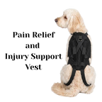 Dog wearing a black pain relief and injury support vest 