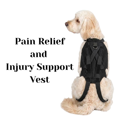Dog wearing a black pain relief and injury support vest 