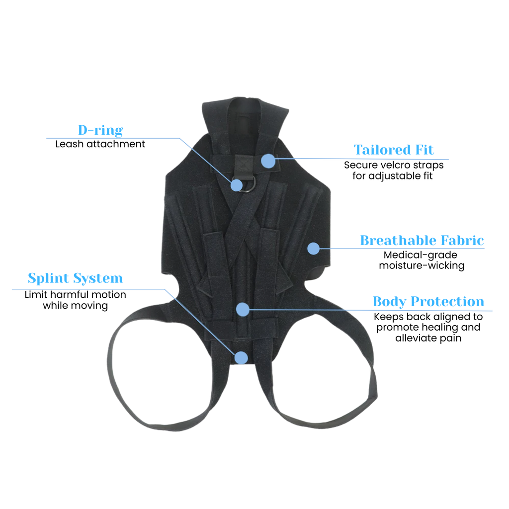 Dog Back Brace for IVDD, Arthritis & Recovery