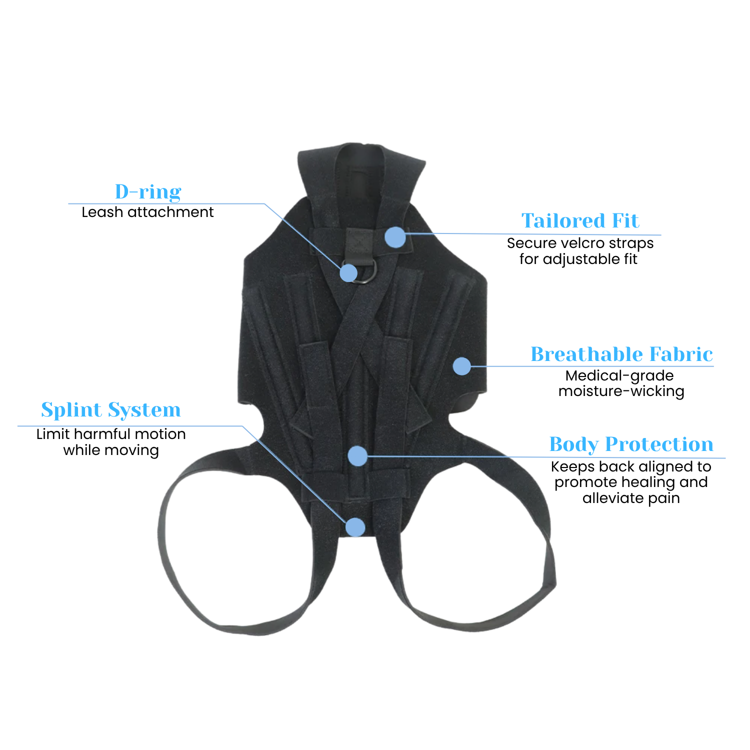 Dog Back Brace for IVDD, Arthritis & Recovery