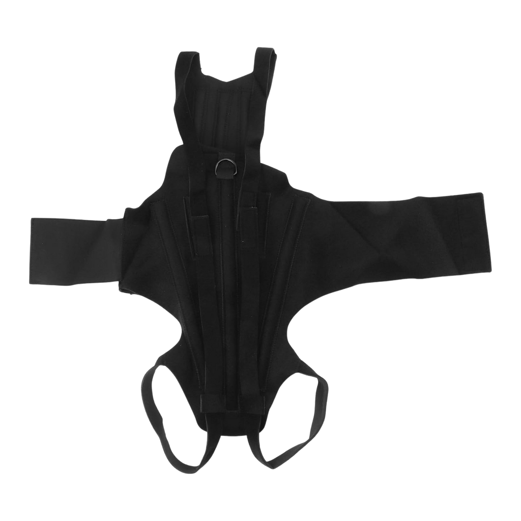 Dog Back Brace for IVDD, Arthritis & Recovery