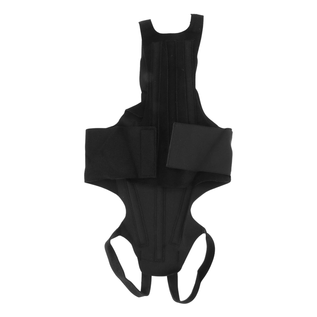 Dog Back Brace for IVDD, Arthritis & Recovery