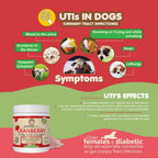 Dog Cranberry Supplement   Natural Dog UTI Treatment & Kidney Support for Dogs.