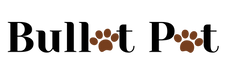 BulletPet logo with pet paws