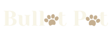BulletPet logo dark theme