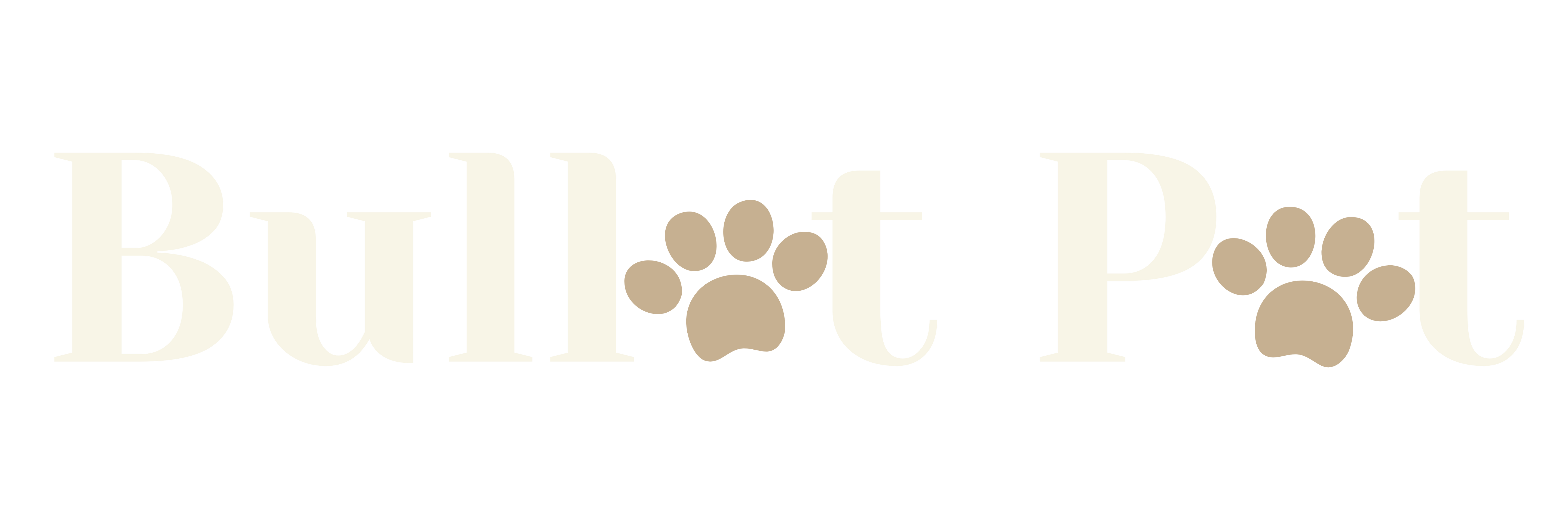 BulletPet logo dark theme