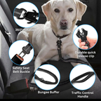 Dog leash feature list