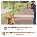 Dog on a leash with measurement details in an outdoor setting