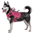 Dog Wearing Elite Tactical No-Pull Dog Harness