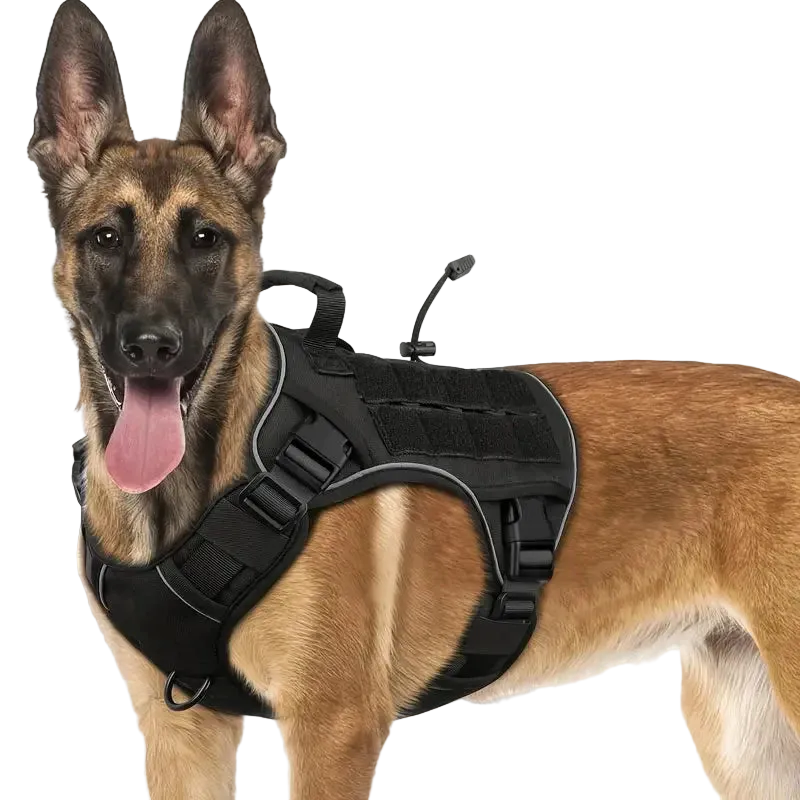 Dog Wearing Elite Tactical No-Pull Dog Harness - Black color