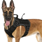 Dog Wearing Elite Tactical No-Pull Dog Harness - Black color