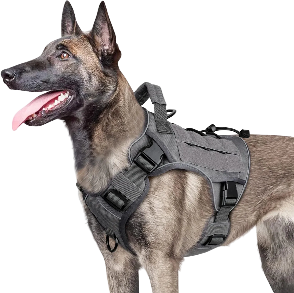 Dog Wearing Elite Tactical No-Pull Dog Harness - Gray color