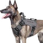 Dog Wearing Elite Tactical No-Pull Dog Harness - Gray color