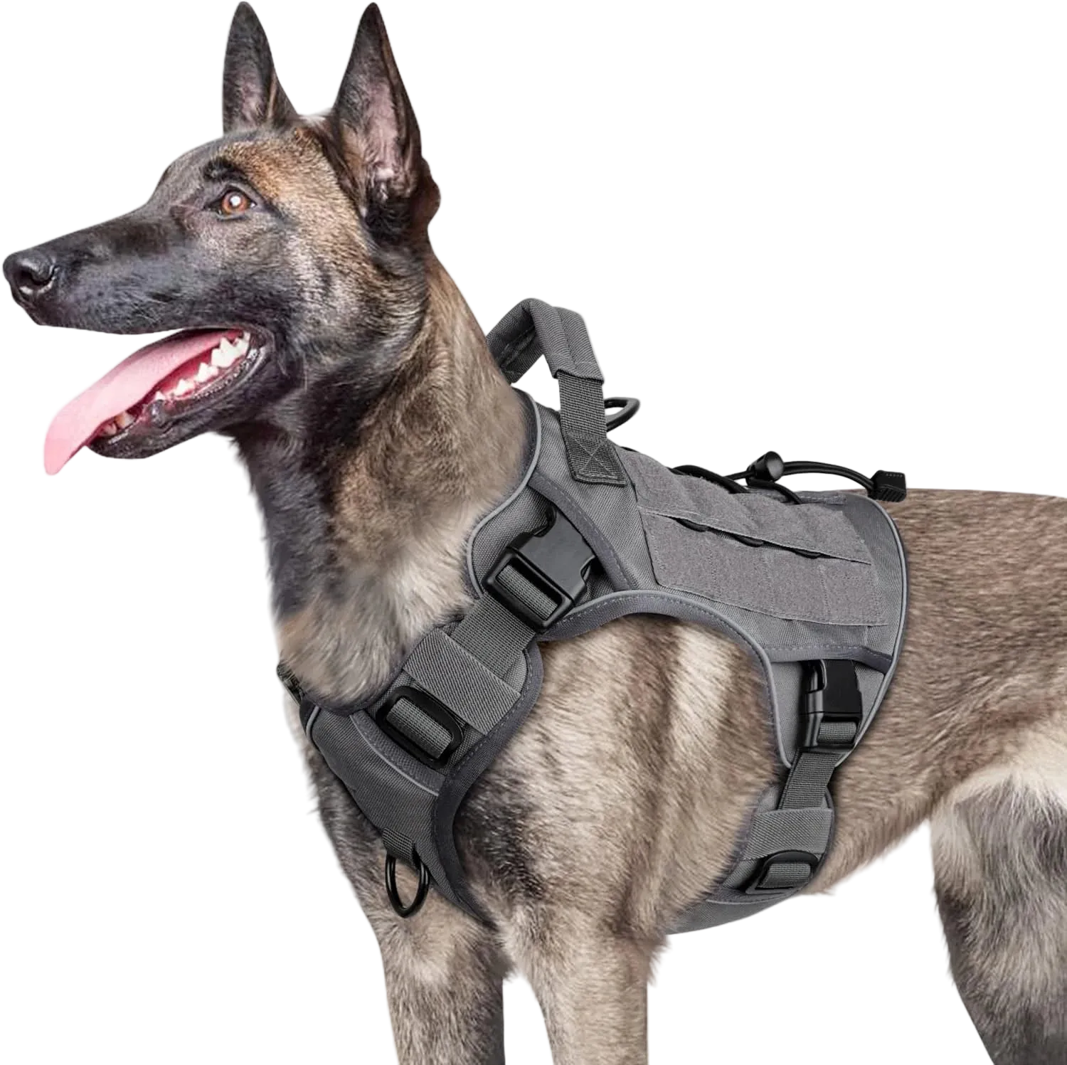 Dog Wearing Elite Tactical No-Pull Dog Harness - Gray color