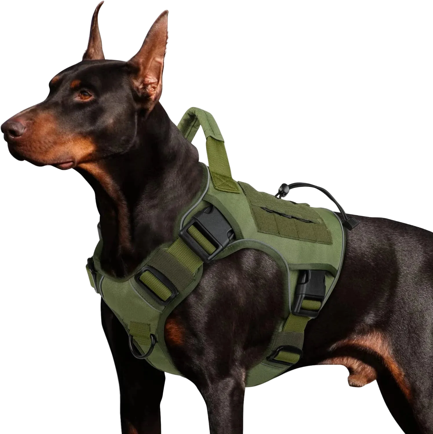 Dog Wearing Elite Tactical No-Pull Dog Harness - Green color