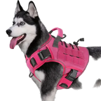 Dog Wearing Elite Tactical No-Pull Dog Harness - Pink color