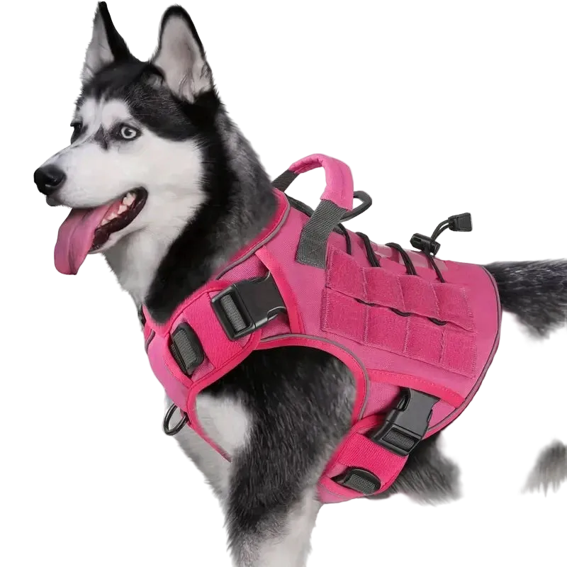 Dog Wearing Elite Tactical No-Pull Dog Harness - Pink color