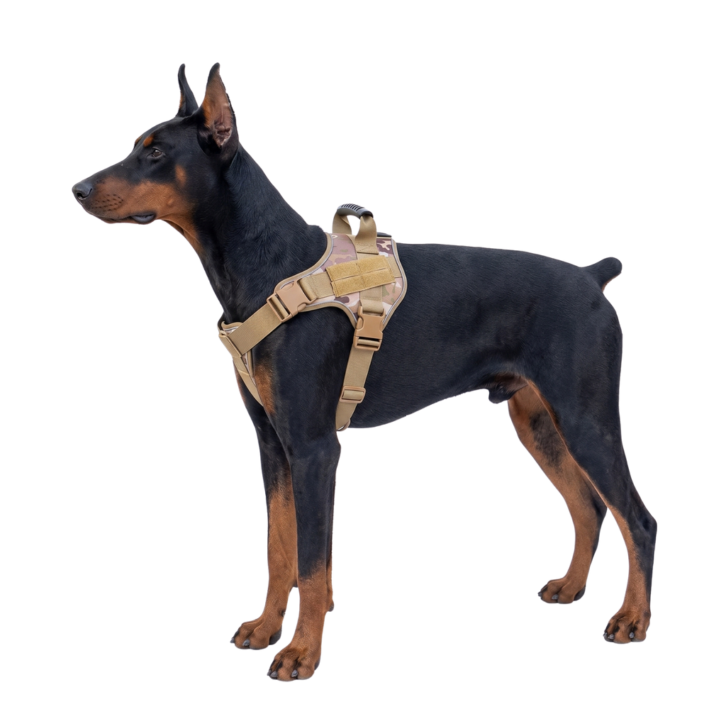 Lightweight Tactical Dog Harness