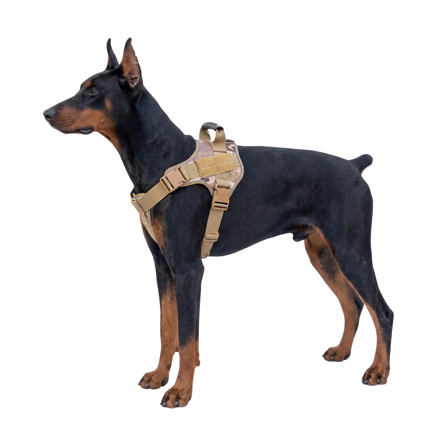 Lightweight Tactical Dog Harness