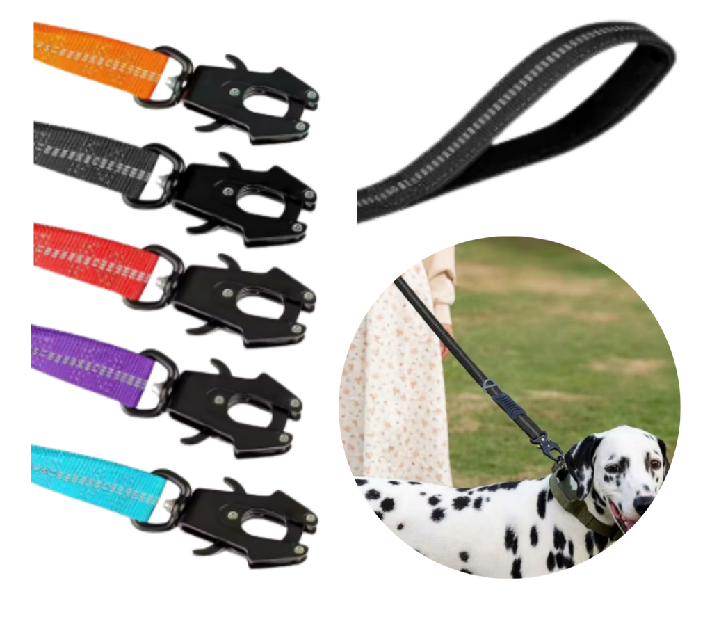 Multiple color availability dog leash