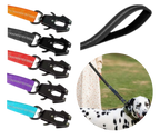 Multiple color availability dog leash