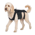 Dog Back Brace for IVDD, Arthritis & Recovery