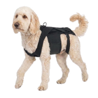 Dog Back Brace for IVDD, Arthritis & Recovery