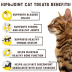 Natural Glucosamine for Cats   Effective Cat Joint Supplement That Helps Improve