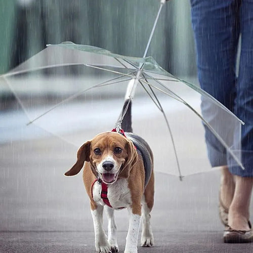 Dog Rain Gear with Leash