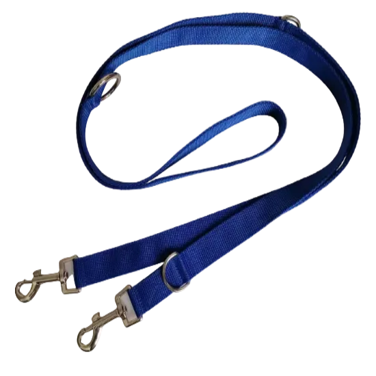Blue dog leash with metal clips