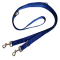 Blue dog leash with metal clips