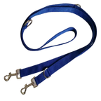 Blue dog leash with metal clips