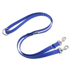 blue dog leash with metal clips